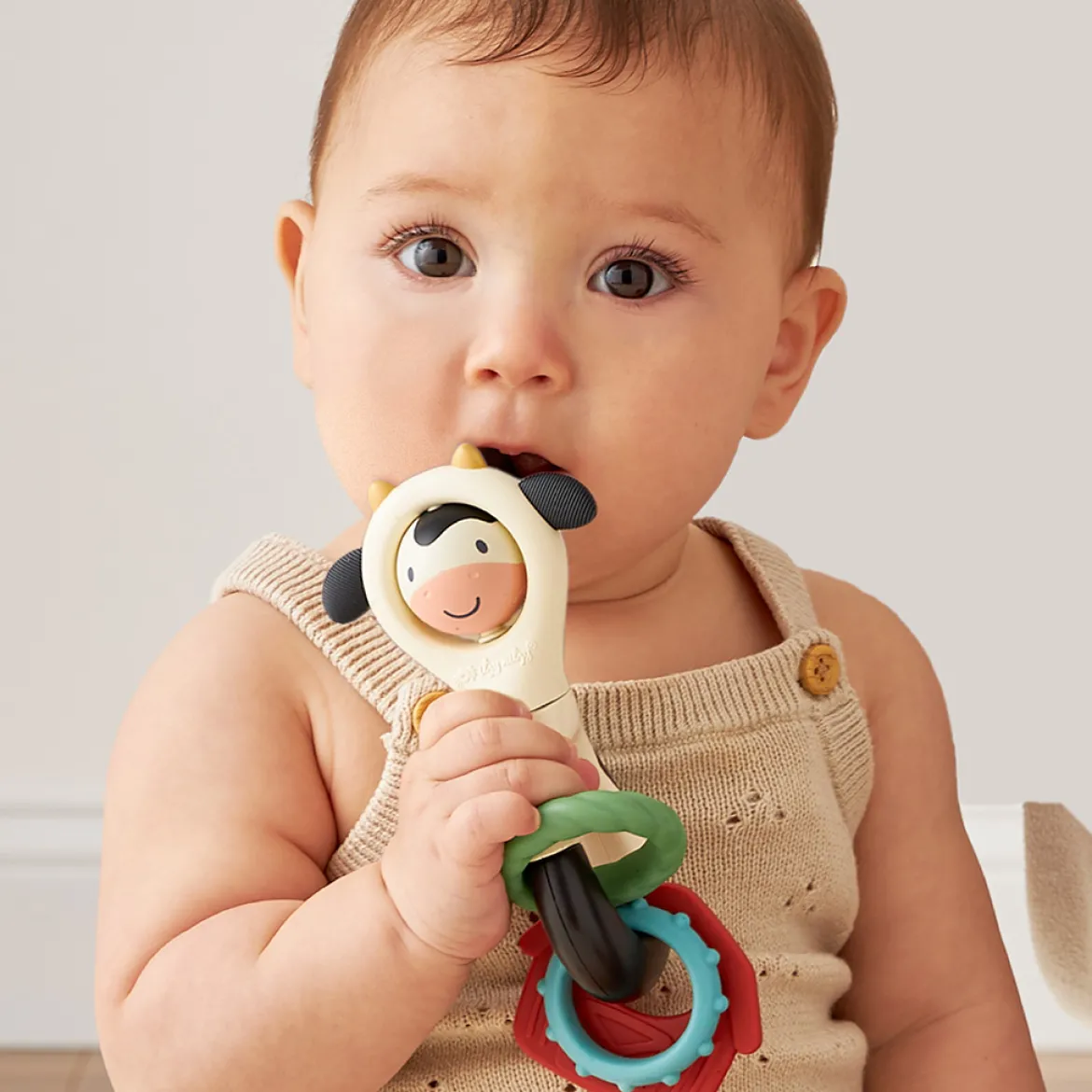 Spinner Rattle Cow