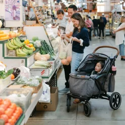 Sprout Stroller/Wagon