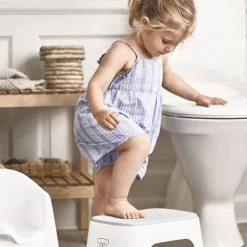 Step Stool
