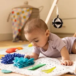 The Play Gym