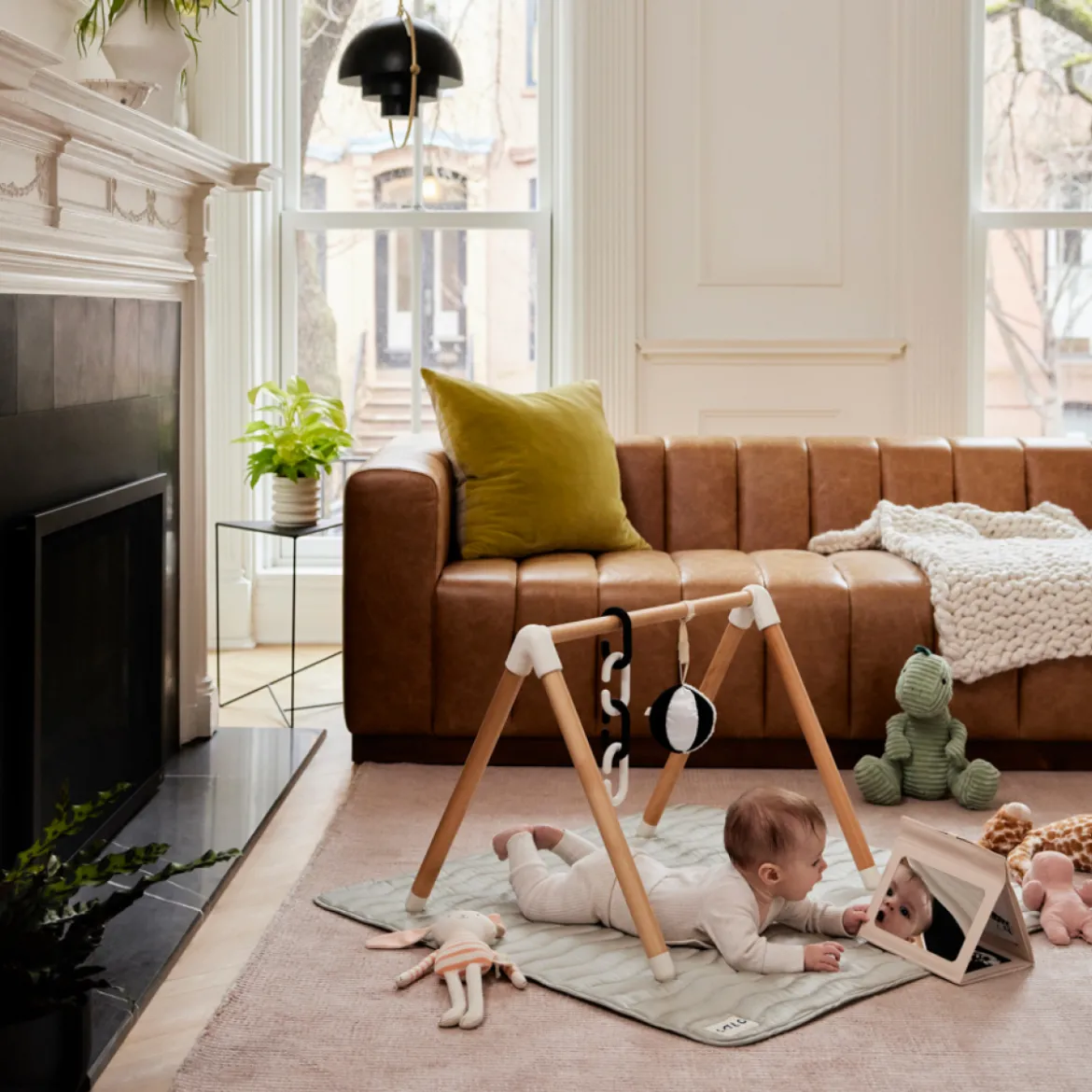 The Play Gym