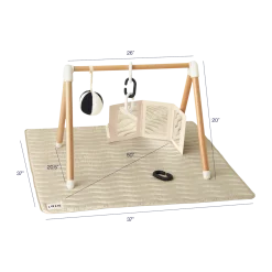 The Play Gym