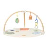 The Play Gym II