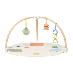 The Play Gym II