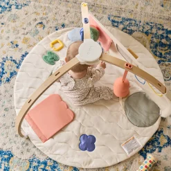 The Play Gym II