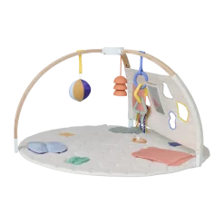 The Play Gym II
