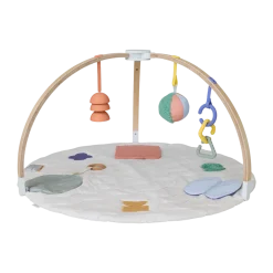 The Play Gym II