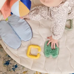 The Play Gym II