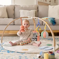 The Play Gym II