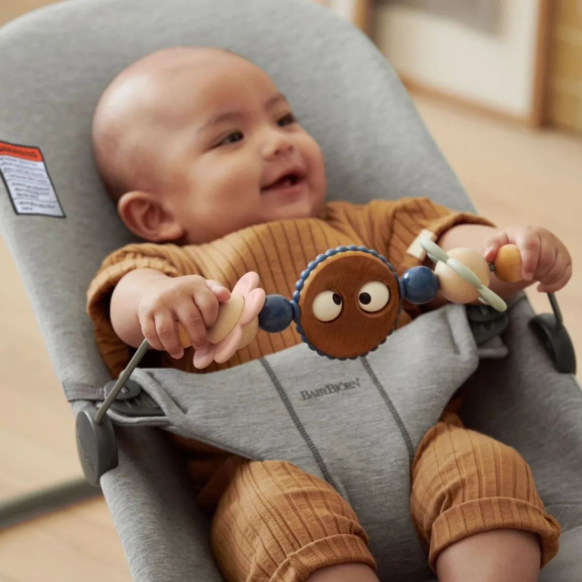 Toy for Bouncer