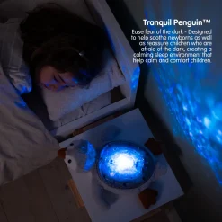 Tranquil Penguin