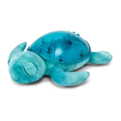 Tranquil Turtle