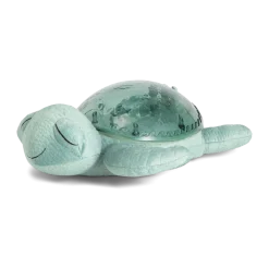Tranquil Turtle