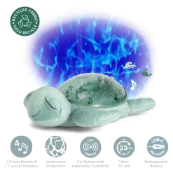 Tranquil Turtle
