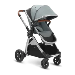 Ultimate 2 Seat Stroller