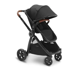 Ultimate 2 Seat Stroller