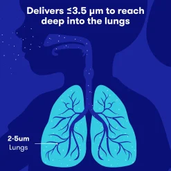 Ultra-Quiet Portable Nebulizer