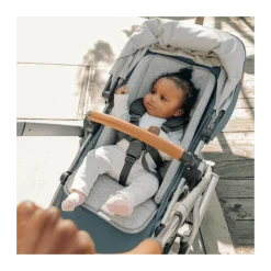 Vista V3 Stroller