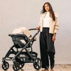 Vista V3 Stroller & Mesa V3 Infant Car Seat Travel System