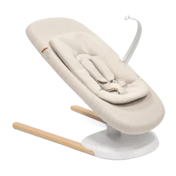 Yoga 2-in-1 Swing and Bouncer