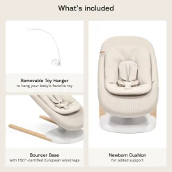 Yoga 2-in-1 Swing and Bouncer