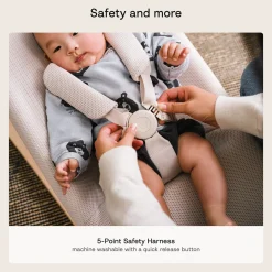 Yoga 2-in-1 Swing and Bouncer